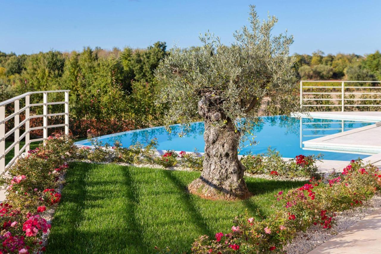 Villa Blanche By Ilc Brtonigla Dış mekan fotoğraf